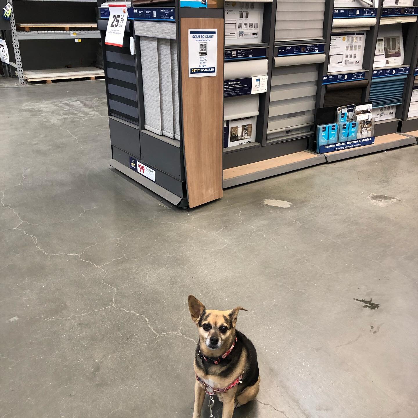 Just did a walk through at a rental property I manage.  So my project manager is now making the rounds at Lowe&rsquo;s to get supplies for some fixes