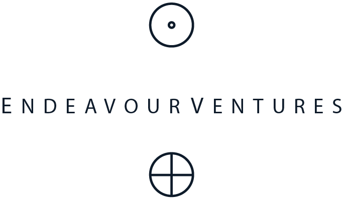 Endeavour Ventures // Development & Publicity Consultancy