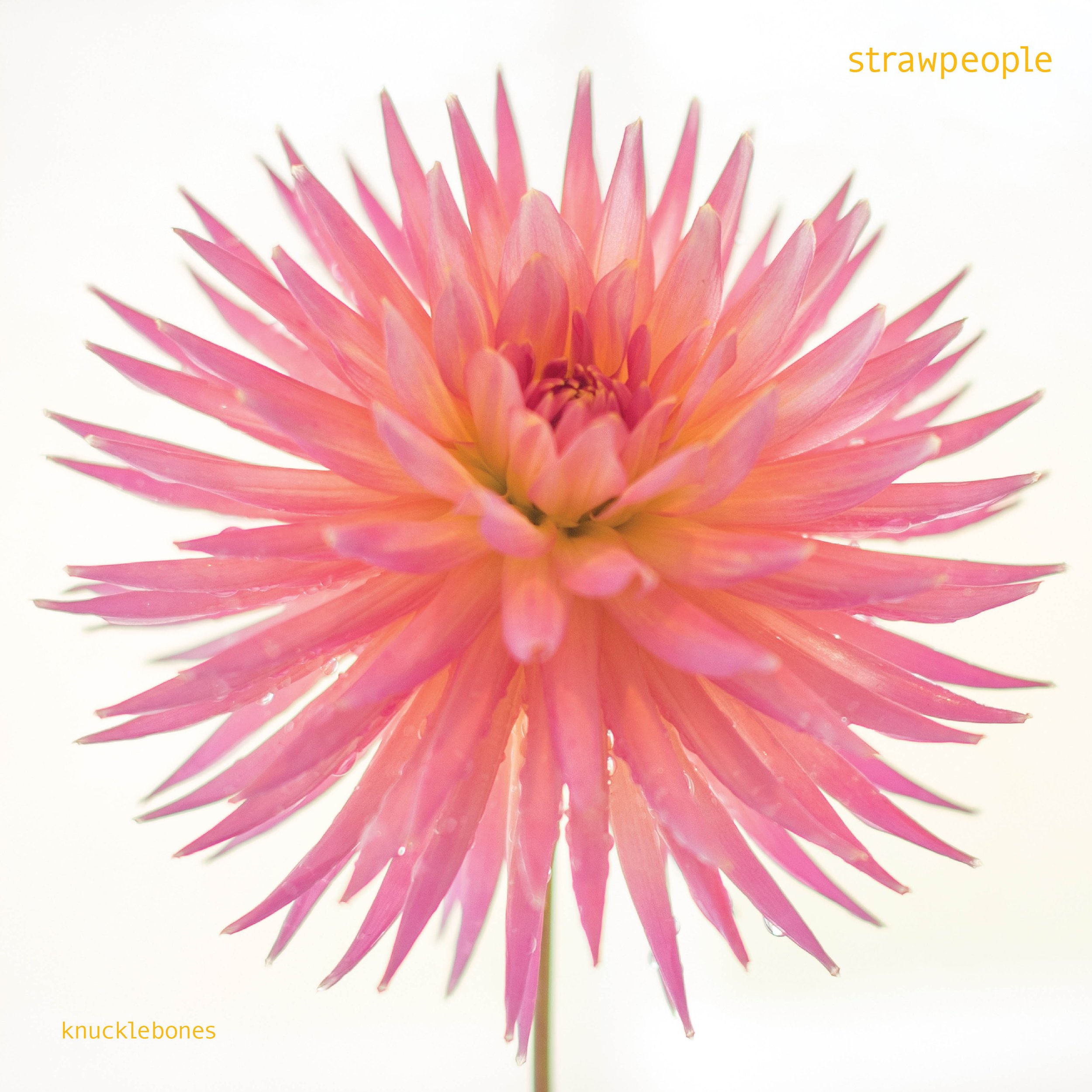 Strawpeople 'Knucklebones' // Album release publicity