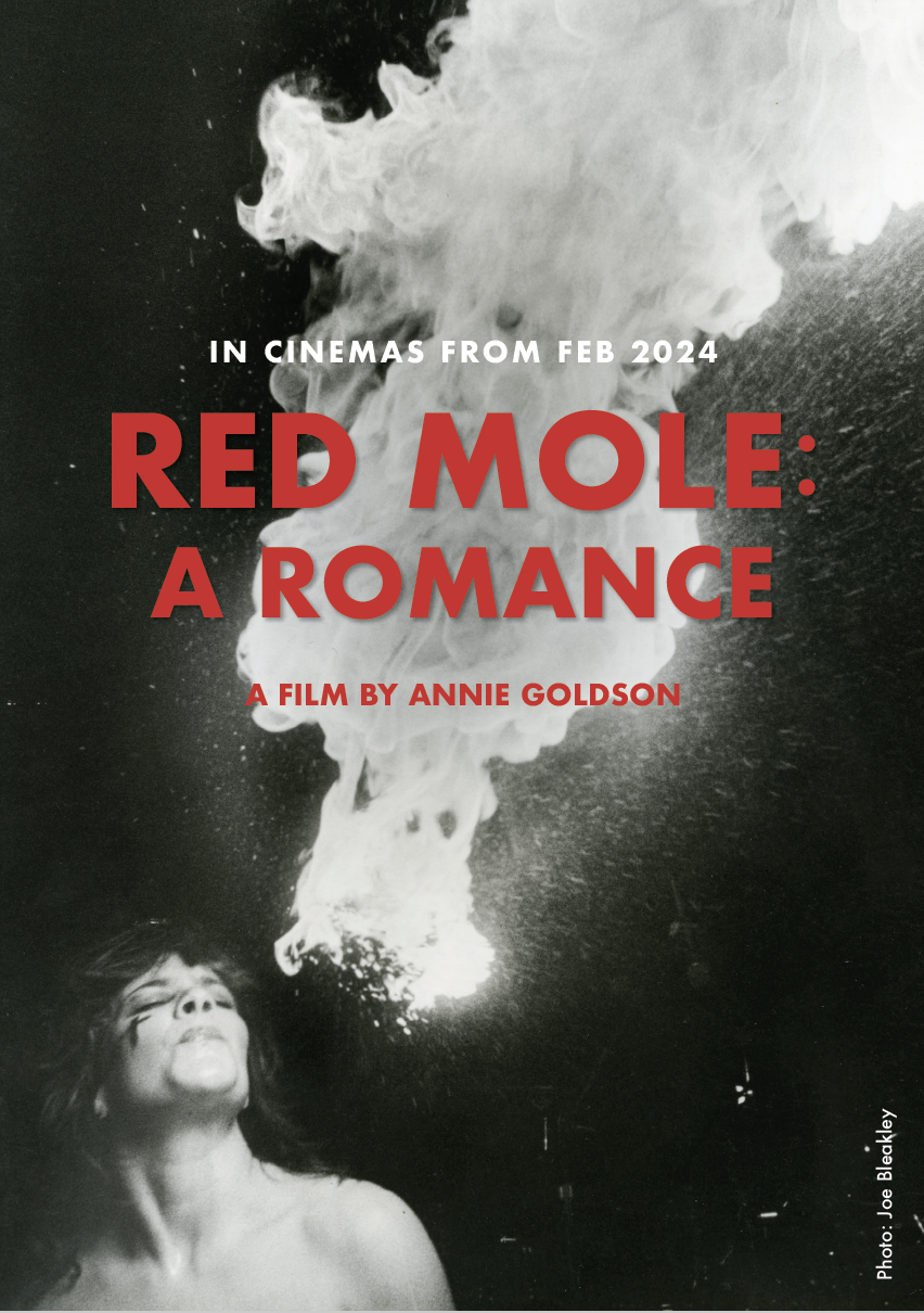 Red Mole: A Romance