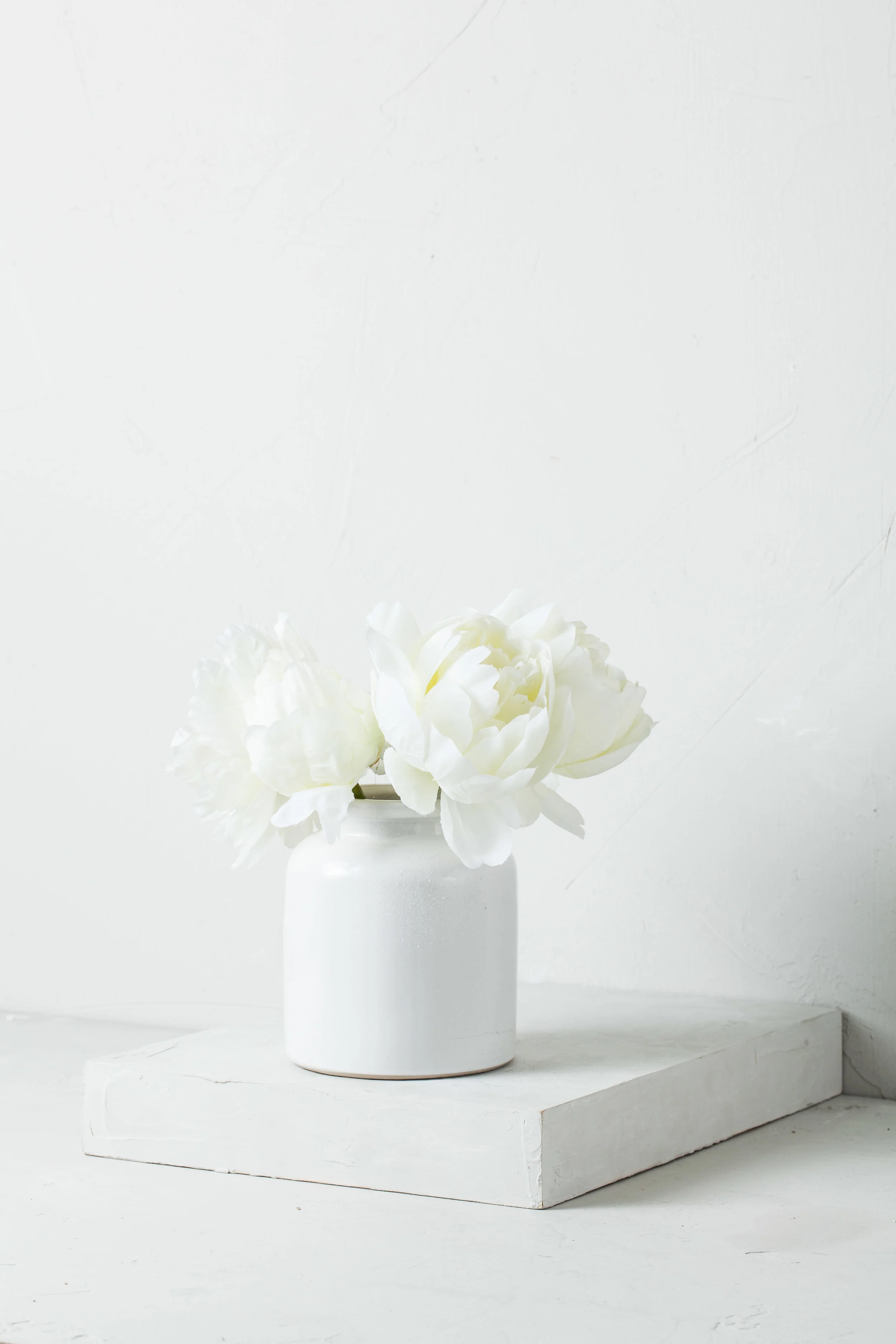 white ceramic vase 2.jpg