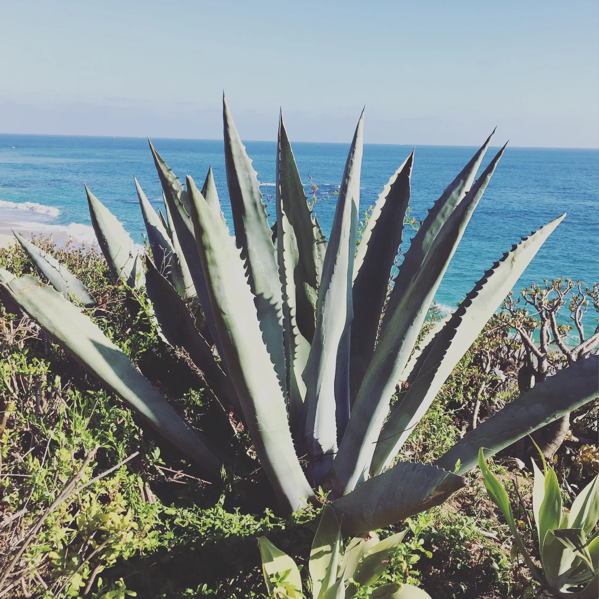 How To: Soothe & Calm Your Skin 