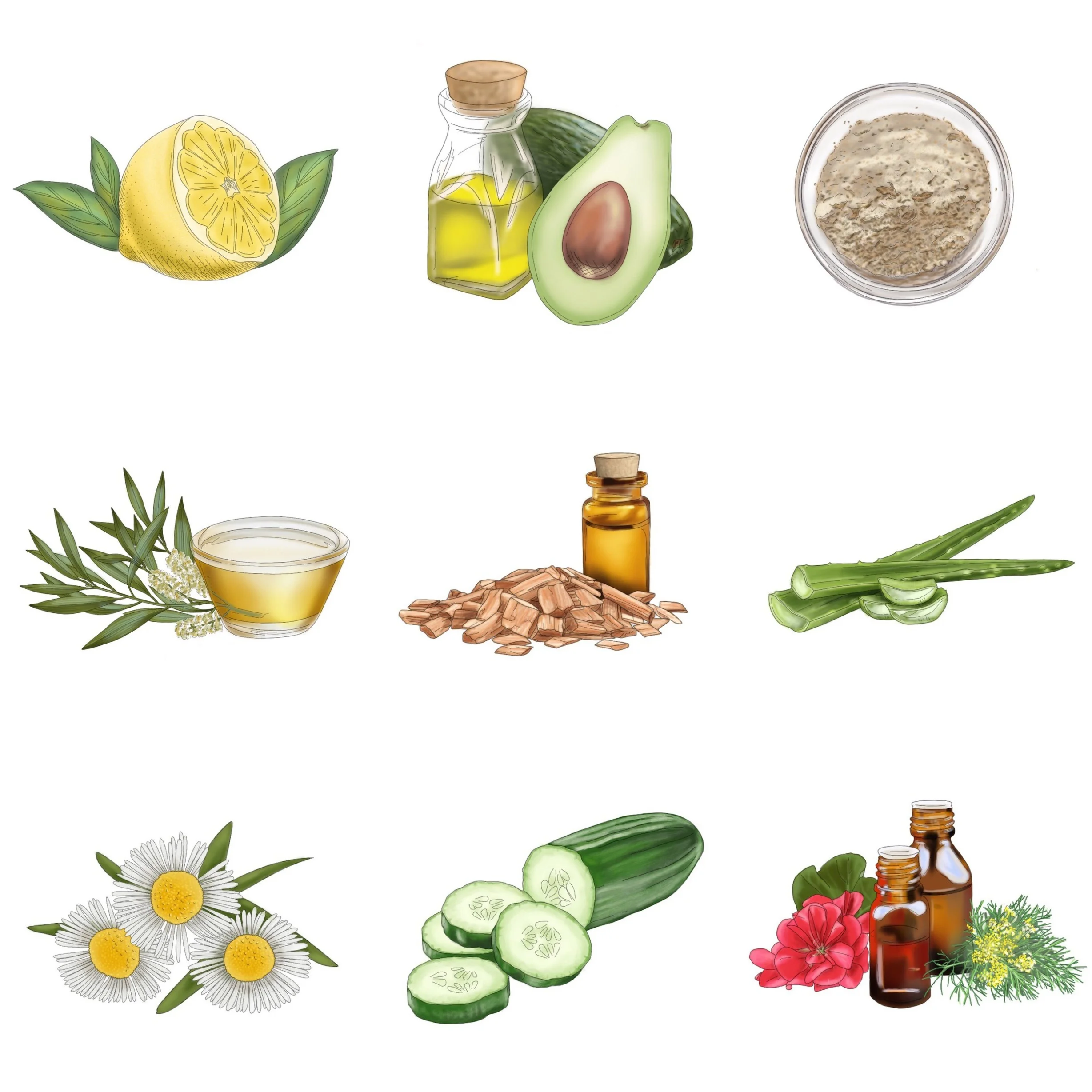 The Clay Mask Key Ingredients 