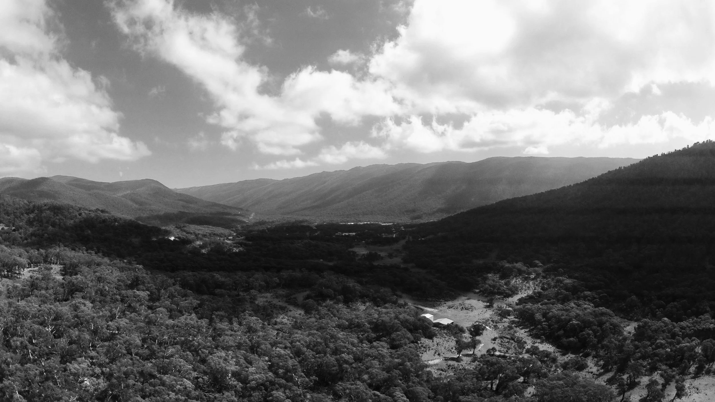 4B7477A0-8398-4E4E-B90F-ACB92FE8DD80_BW.jpg