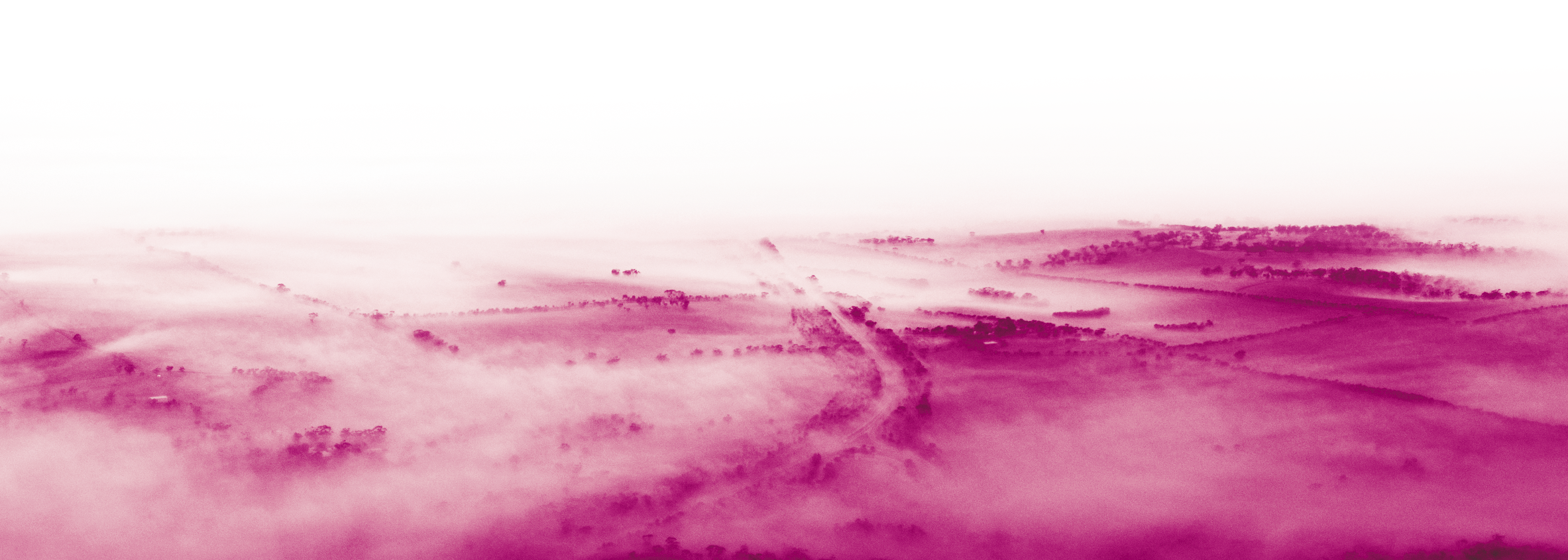 Stocksy_txpf277fc20xfT100_Medium_15558_CMYK.png
