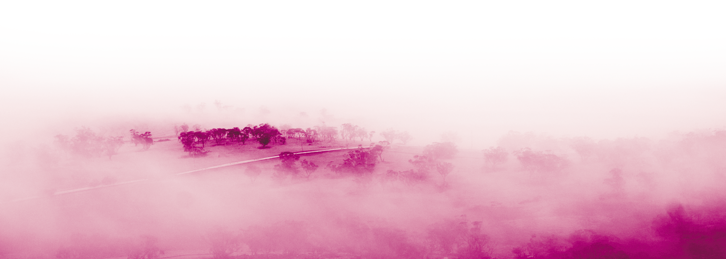 Stocksy_txpf277fc20xfT100_Medium_684735_CMYK.png