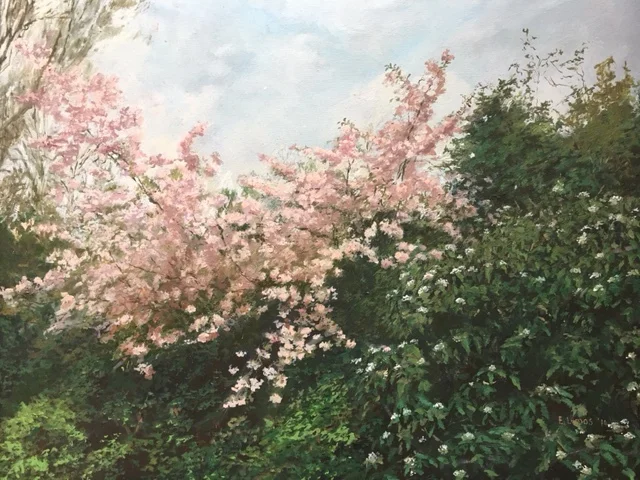 image12.JPG