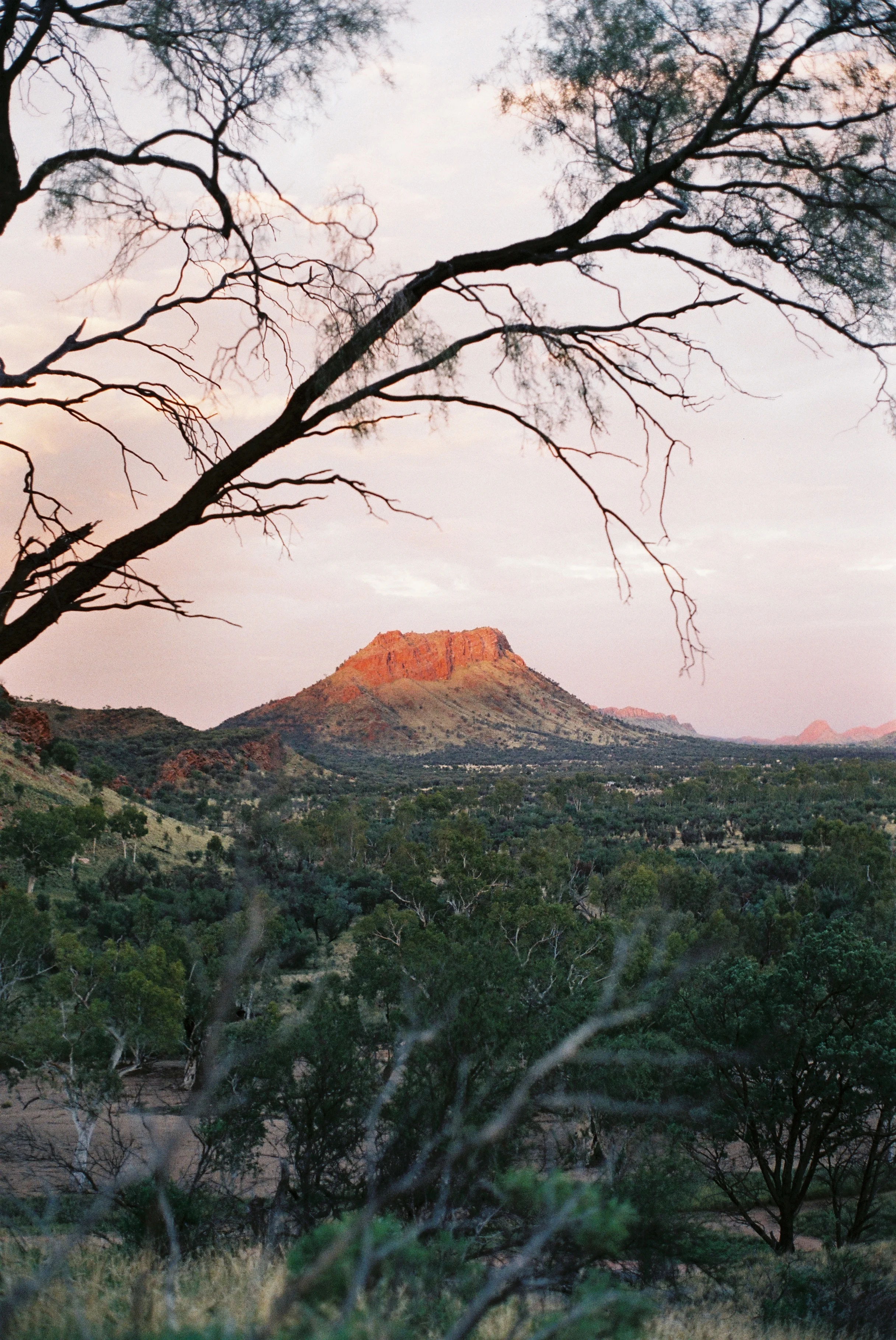 C008569-R1-14-22.jpg