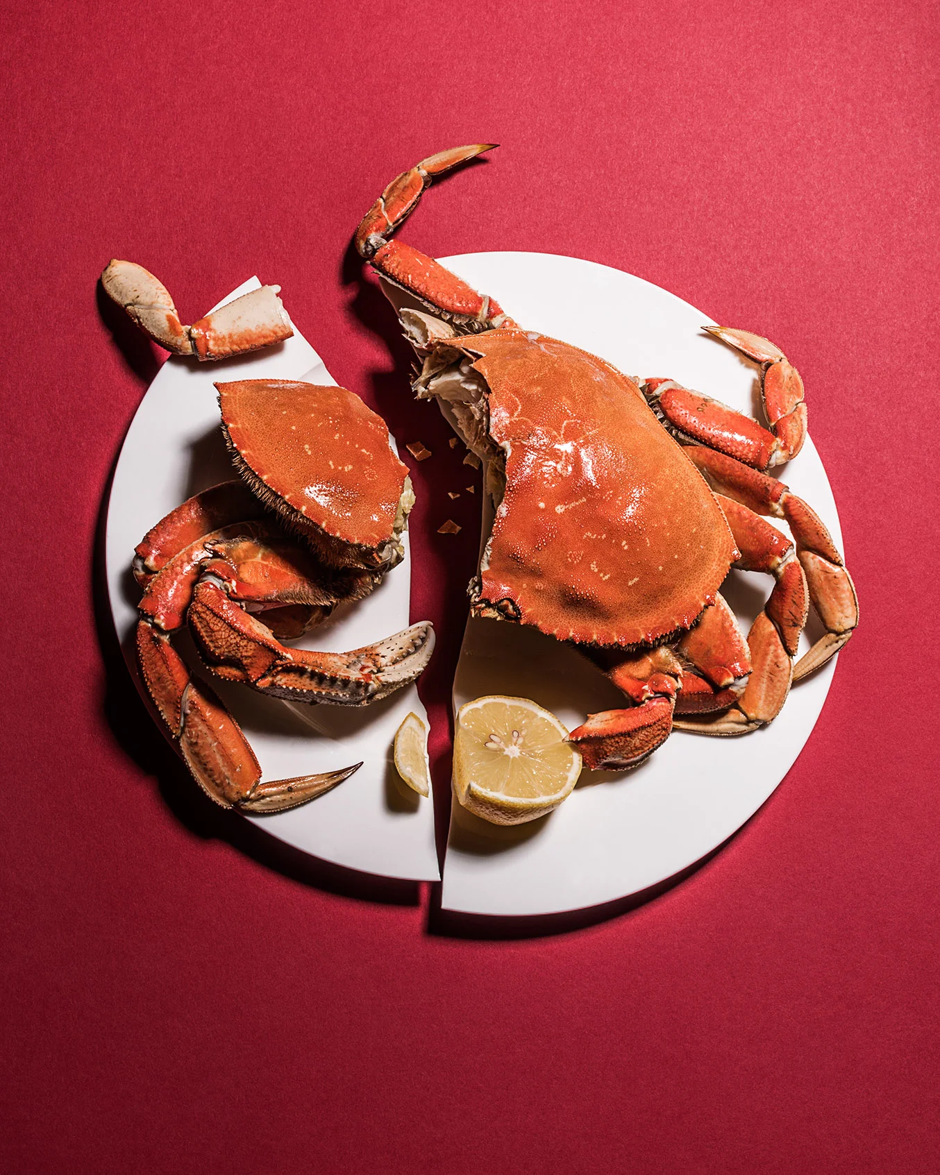 Broken_Plate_Crab_019_V1_small.jpg