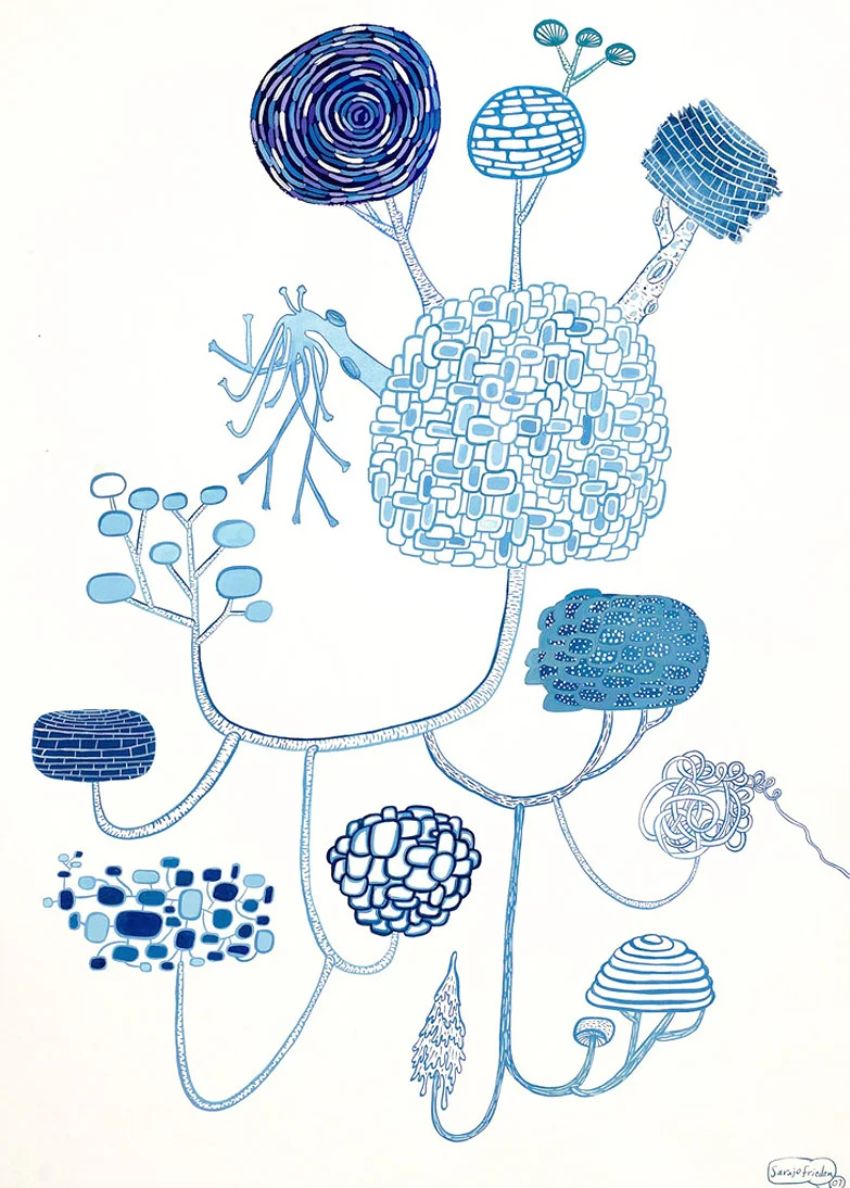 bluehorticulture