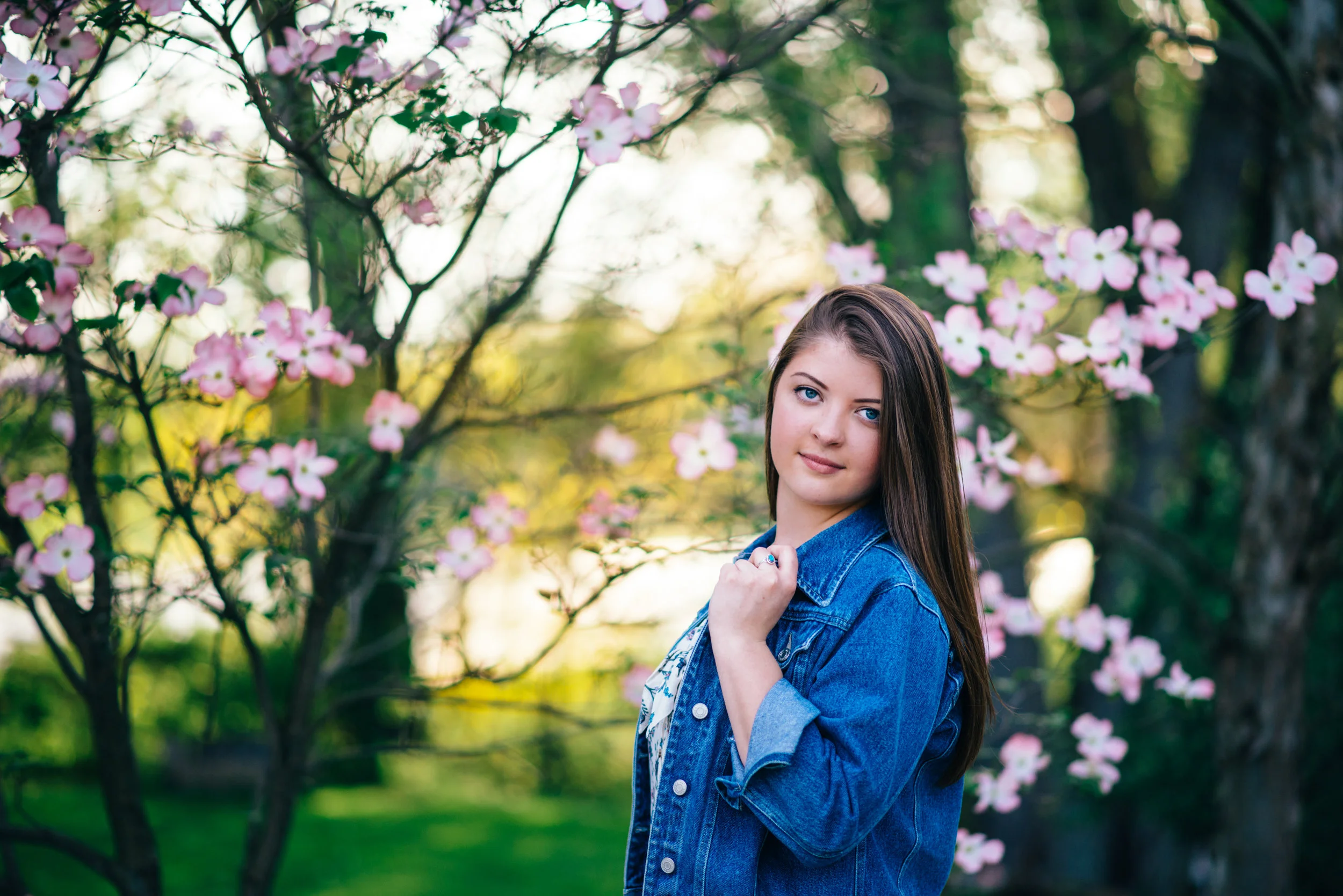 high school senior model with denim jacket in front of flowering dogwood tree