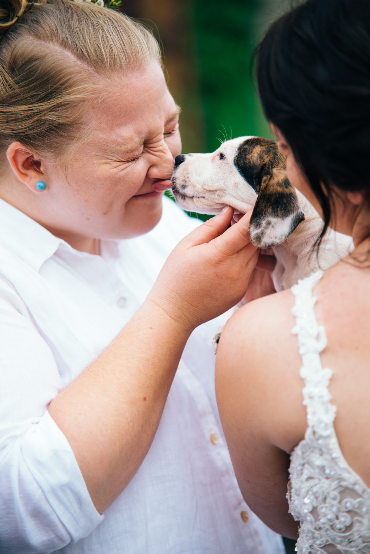 Wedding Photos with Puppies
