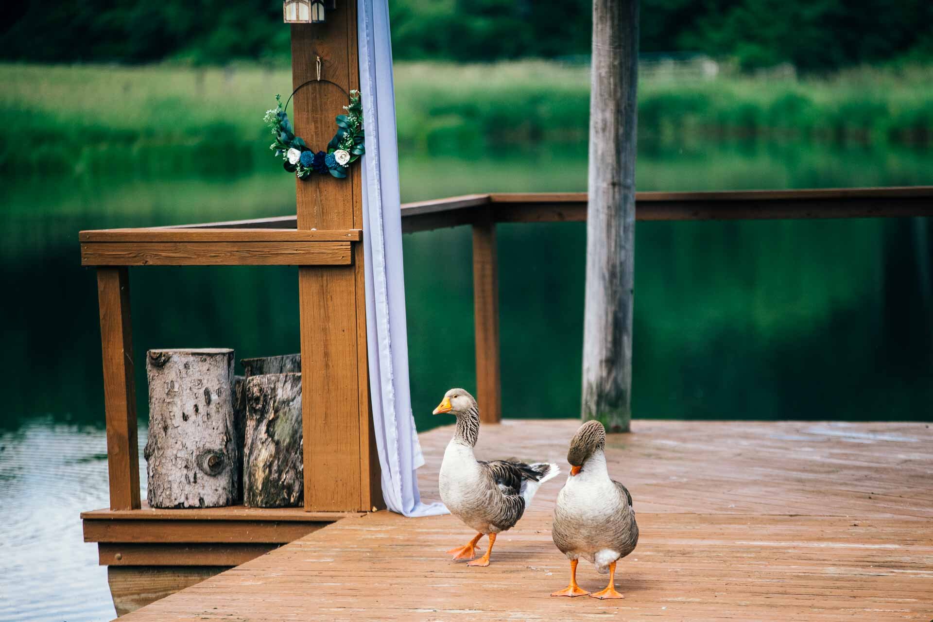 Armstrong Farms Wedding Westminster Preserve