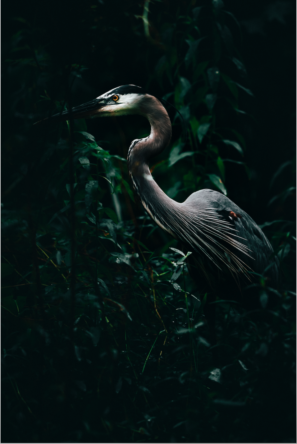 Screen Shot 2020-06-07 at 7.14.51 PM.png