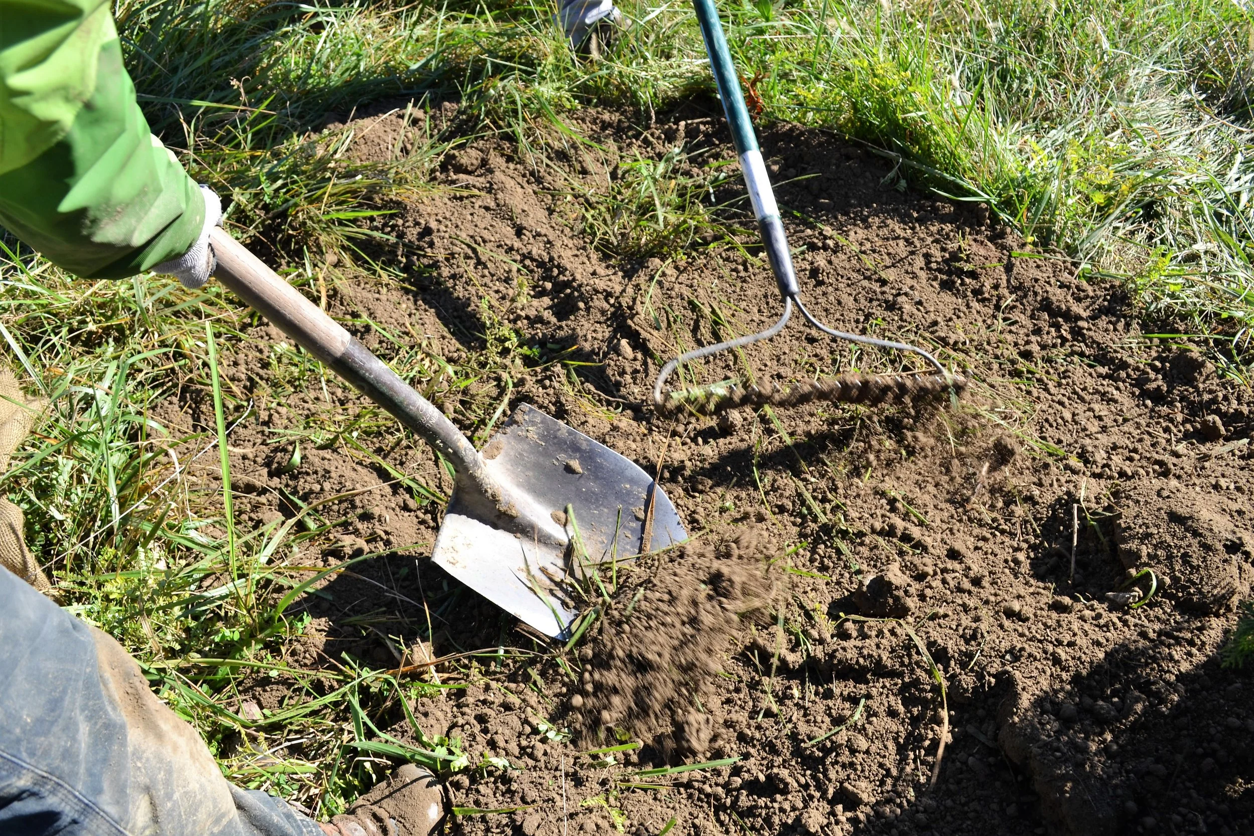 2016-11-05 Tree Planting Day (24).JPG