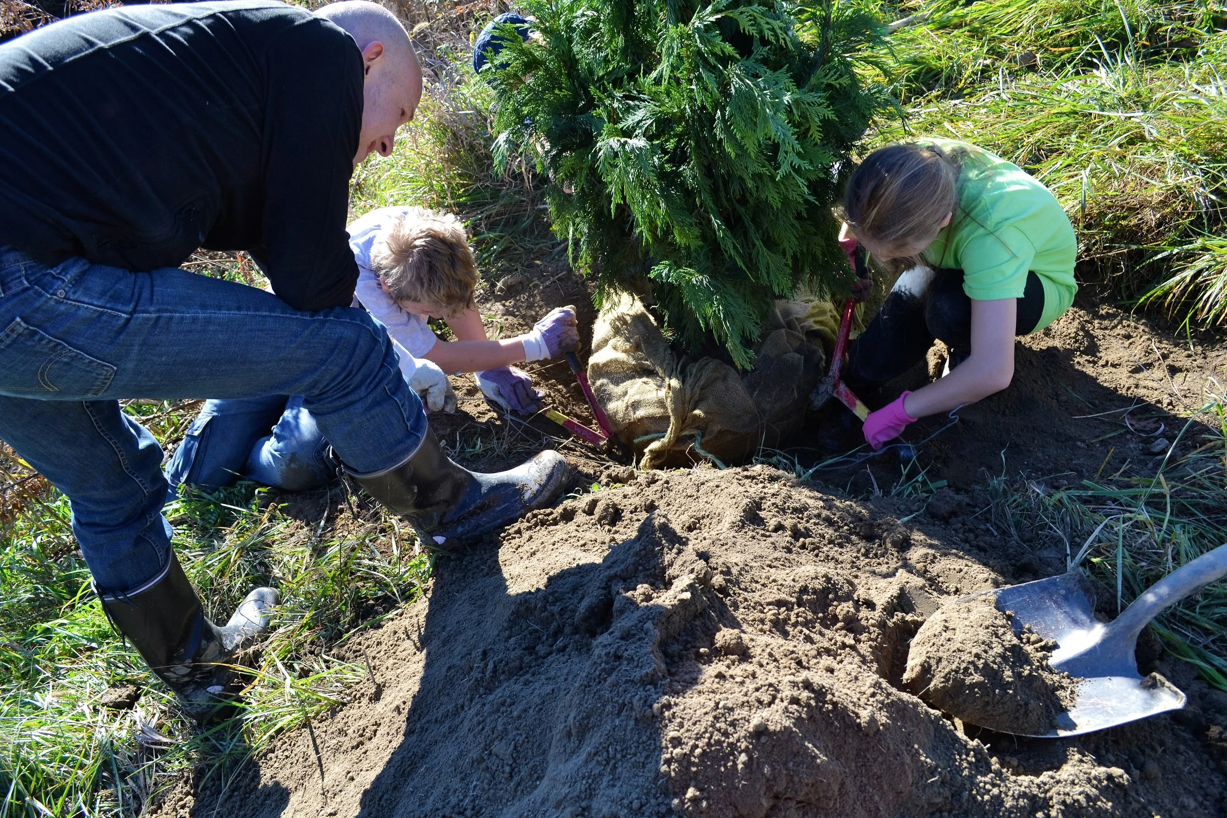 2016-11-05 Tree Planting Day (44).JPG