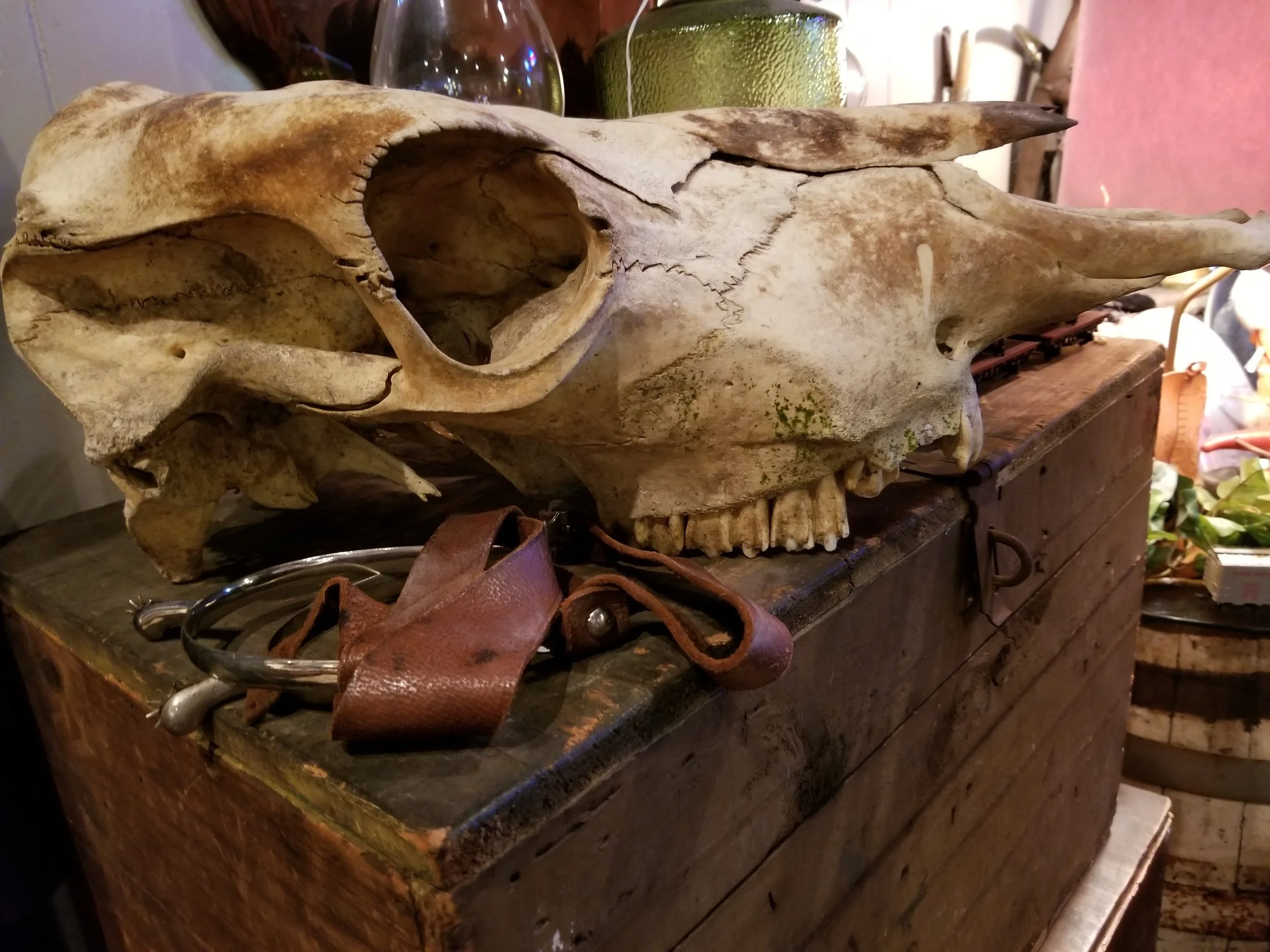 20170826_143113.jpg