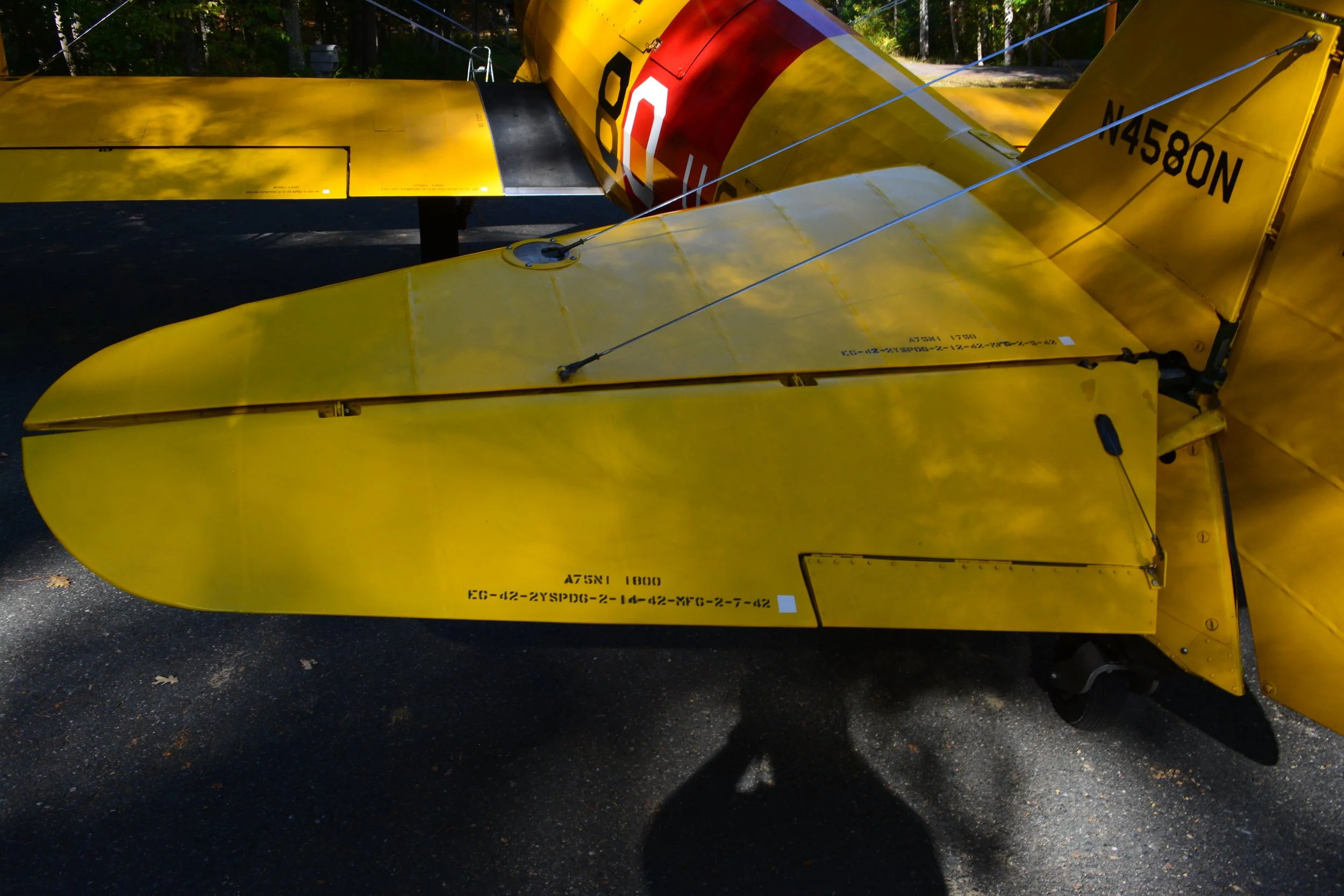 DSC_0118.JPG