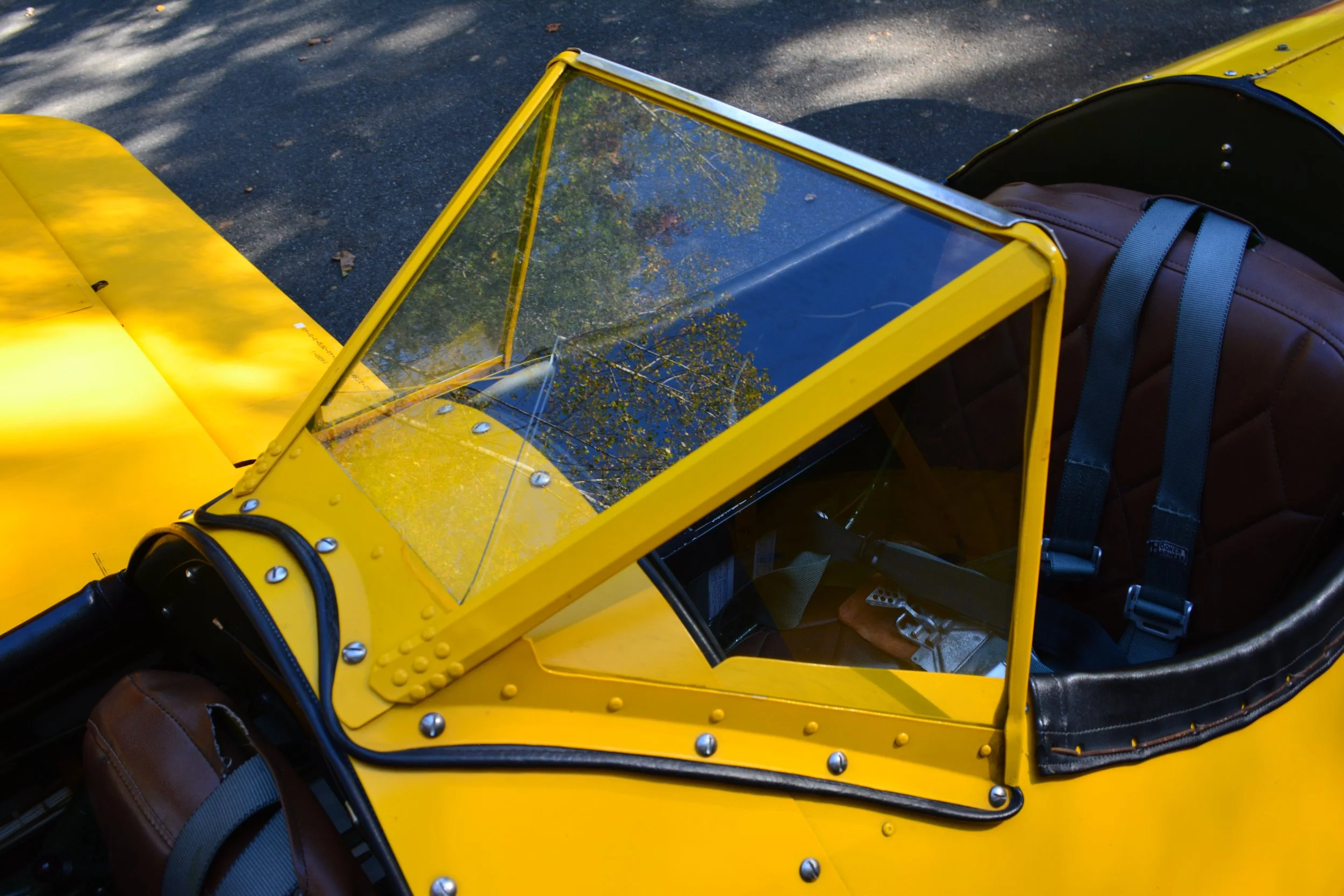 DSC_0221.JPG