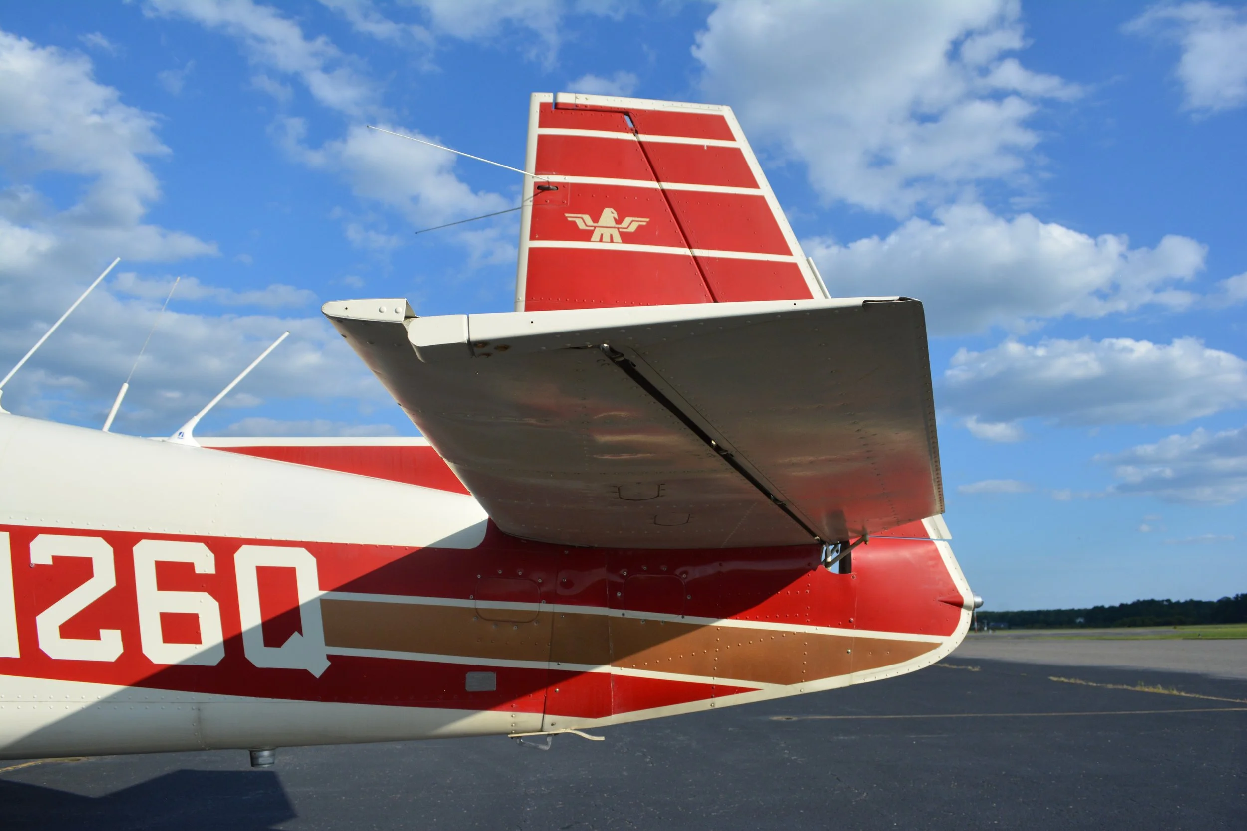 DSC_0100.JPG