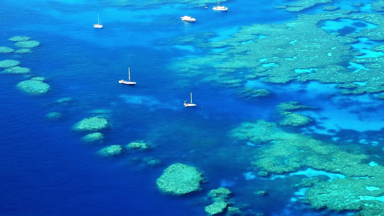 347357663_1280x720.jpg