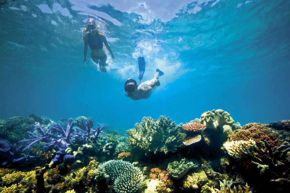 1-Lizard-Island_Great-Barrier-Reef_Snorkelling-575.jpg