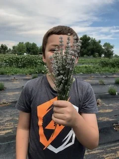 farm17.jpg