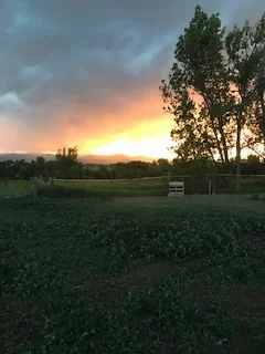 farm19.jpg