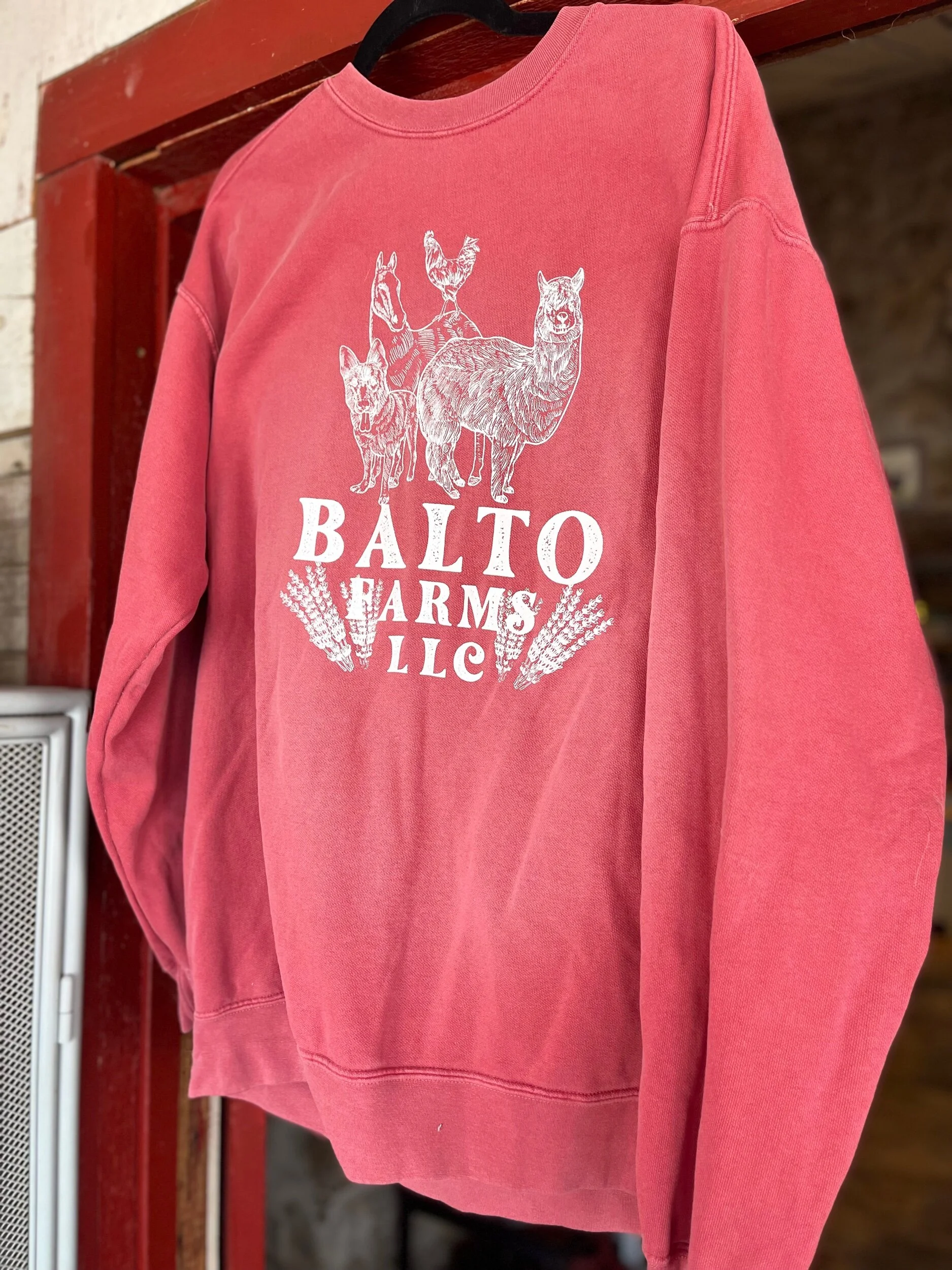 29C40695-E89D-4A9F-B135-E5CD0BA4F25C