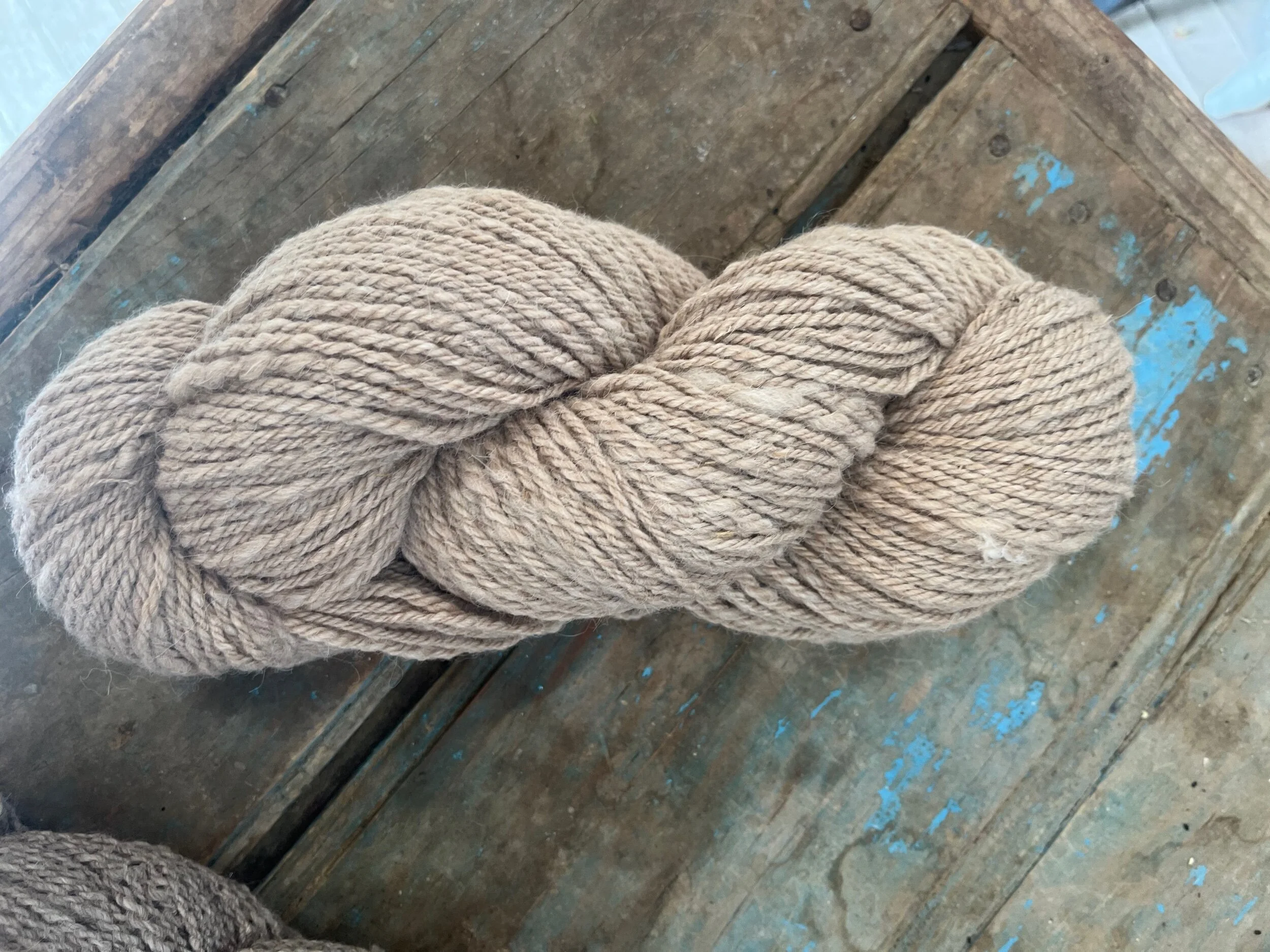 ABCB9551-FCEB-4C69-A74A-39BC3079832C