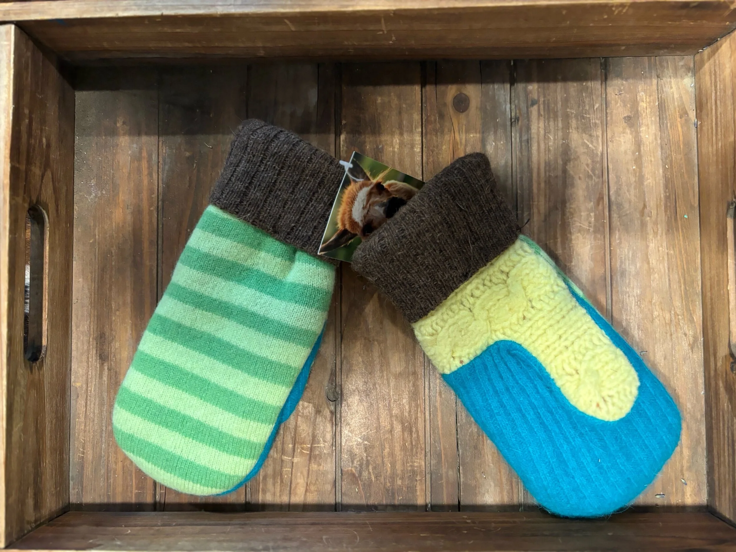 C6653AE6-447A-4391-93B0-237A3F59C100