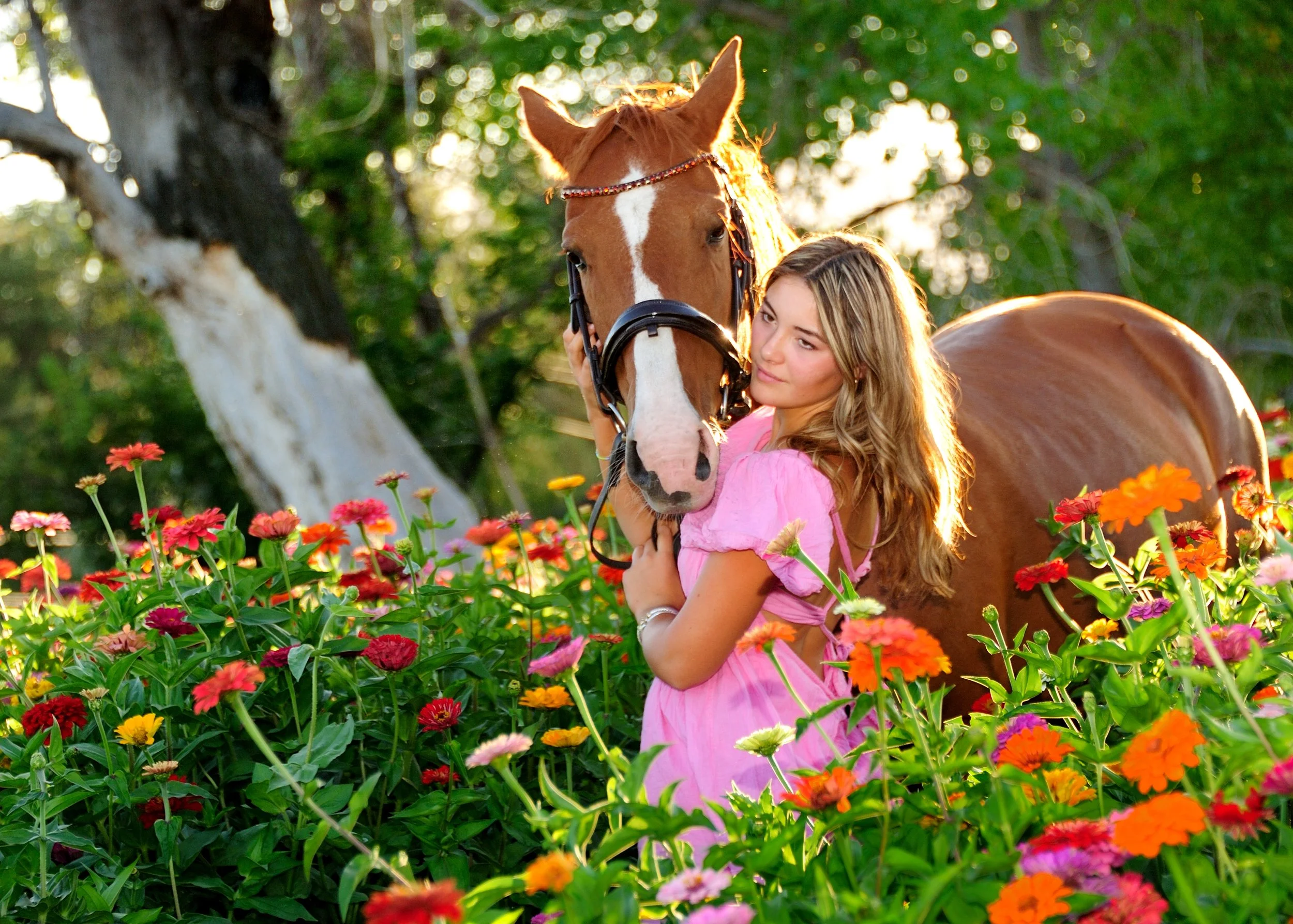 Photo Shoot in the Flower Fields and Farm