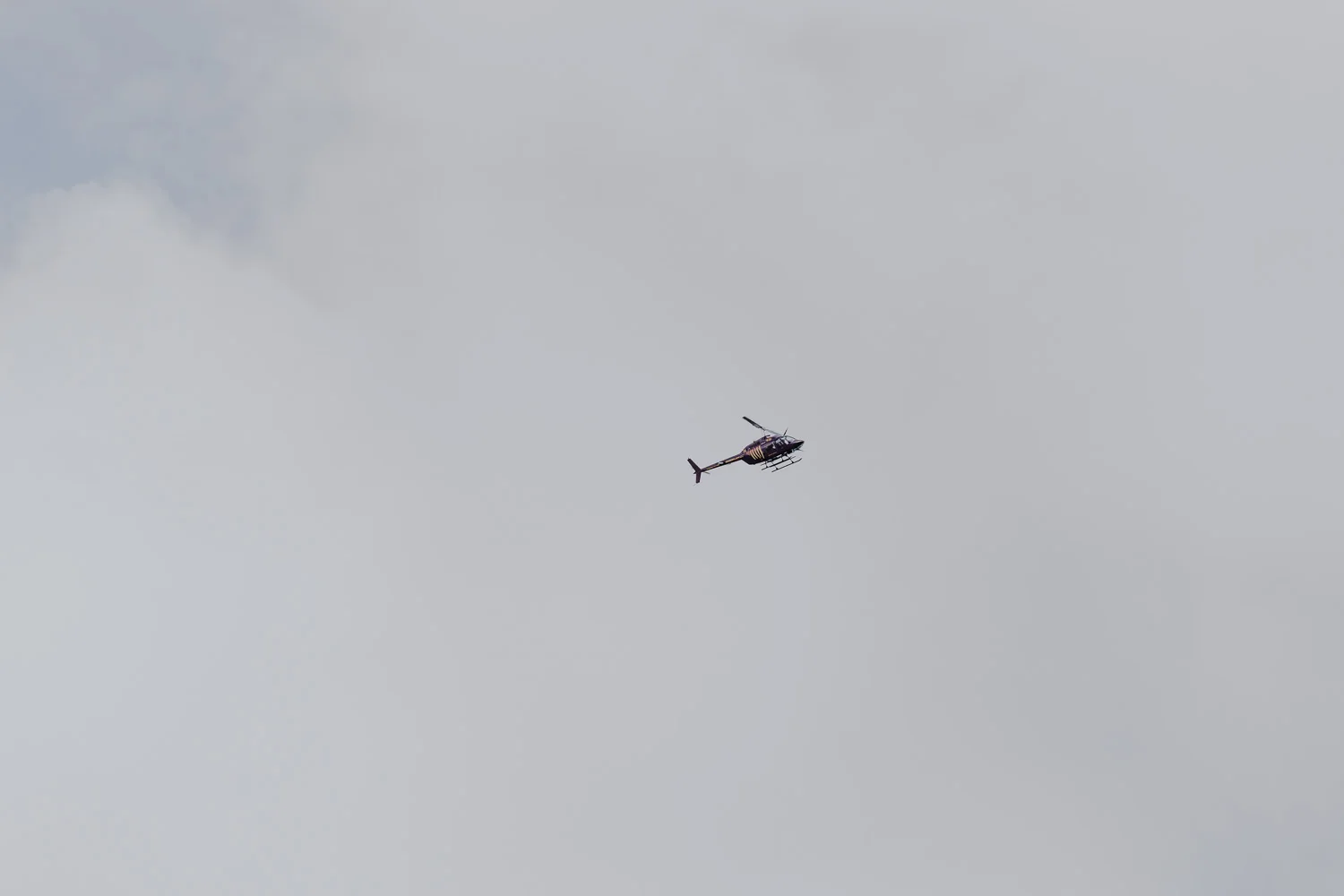 IMG_7956.jpg