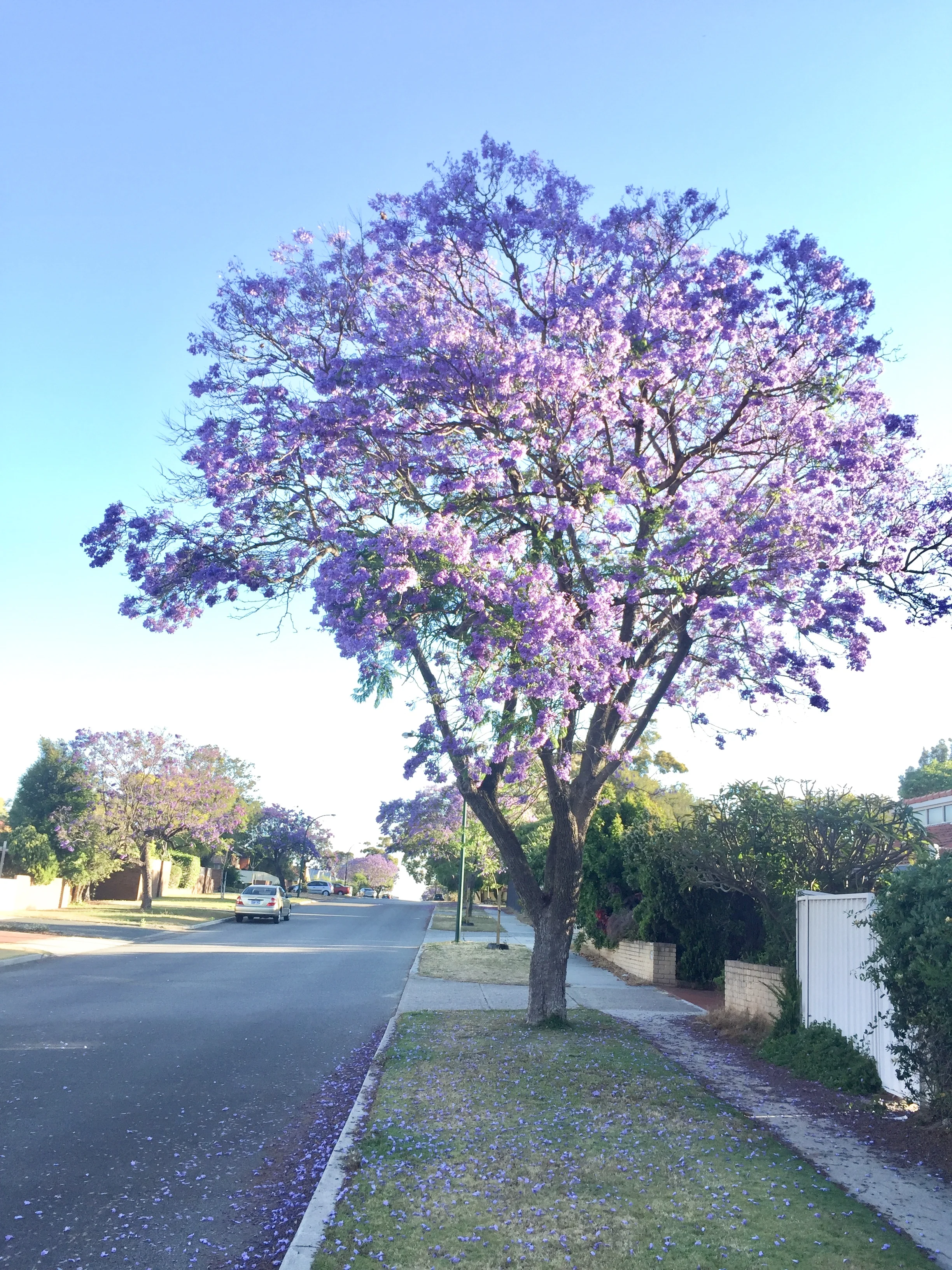 How To Make Space For Quiet Calm and Stillness In Your Everyday Life 3.jpg