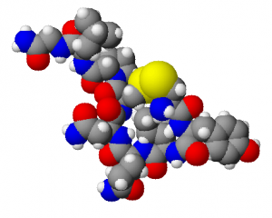 Oxytocin3d-300x240.png