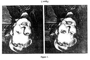 &nbsp; &nbsp; &nbsp; &nbsp; &nbsp; &nbsp; &nbsp; &nbsp;Original Figure from Thompson (1980)