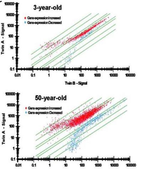 Figure 2. Epigenetic drift is greater in 50-year-old twins than in 3-year-old twins (Fraga, et al., 2005).
