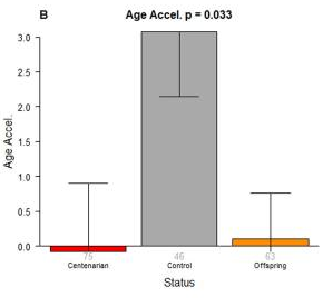 No differences are found between age acceleration in centernarians and their offspring. These data suggest that age acceleration is hereditary, in support of the epigenetic clock (Horvath et al., 2015).