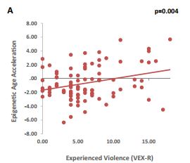 More experiences of neighborhood violence predicted greater epigenetic age acceleration, even after accounting for income, parental education, and child sex (Jovanovic et al., 2017).