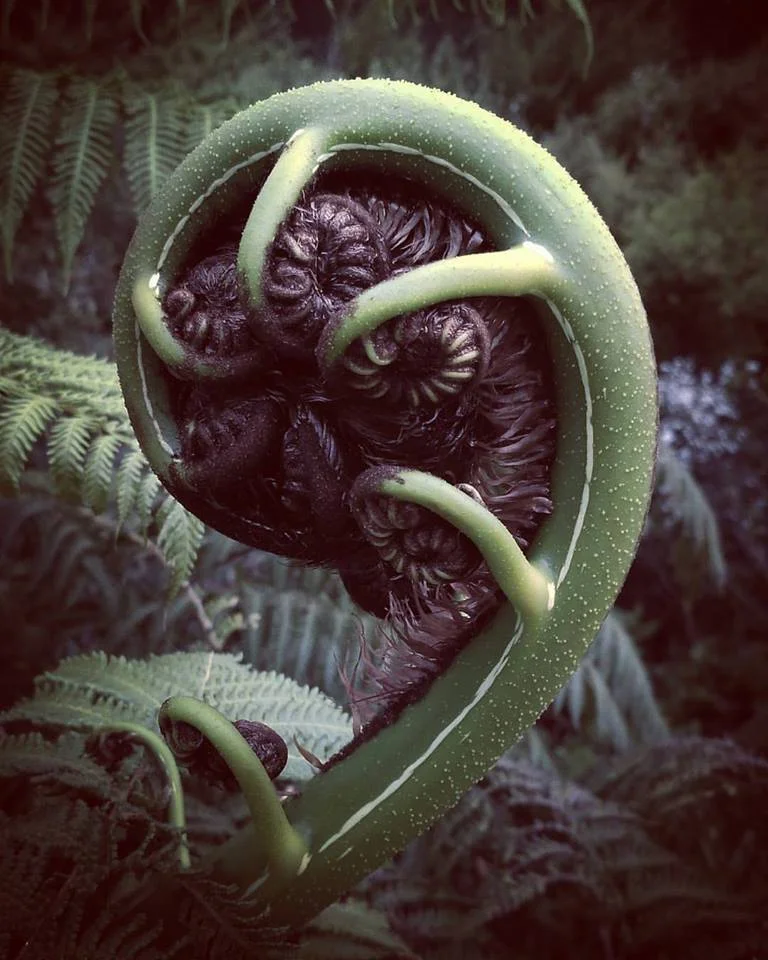 Unfolding.jpg