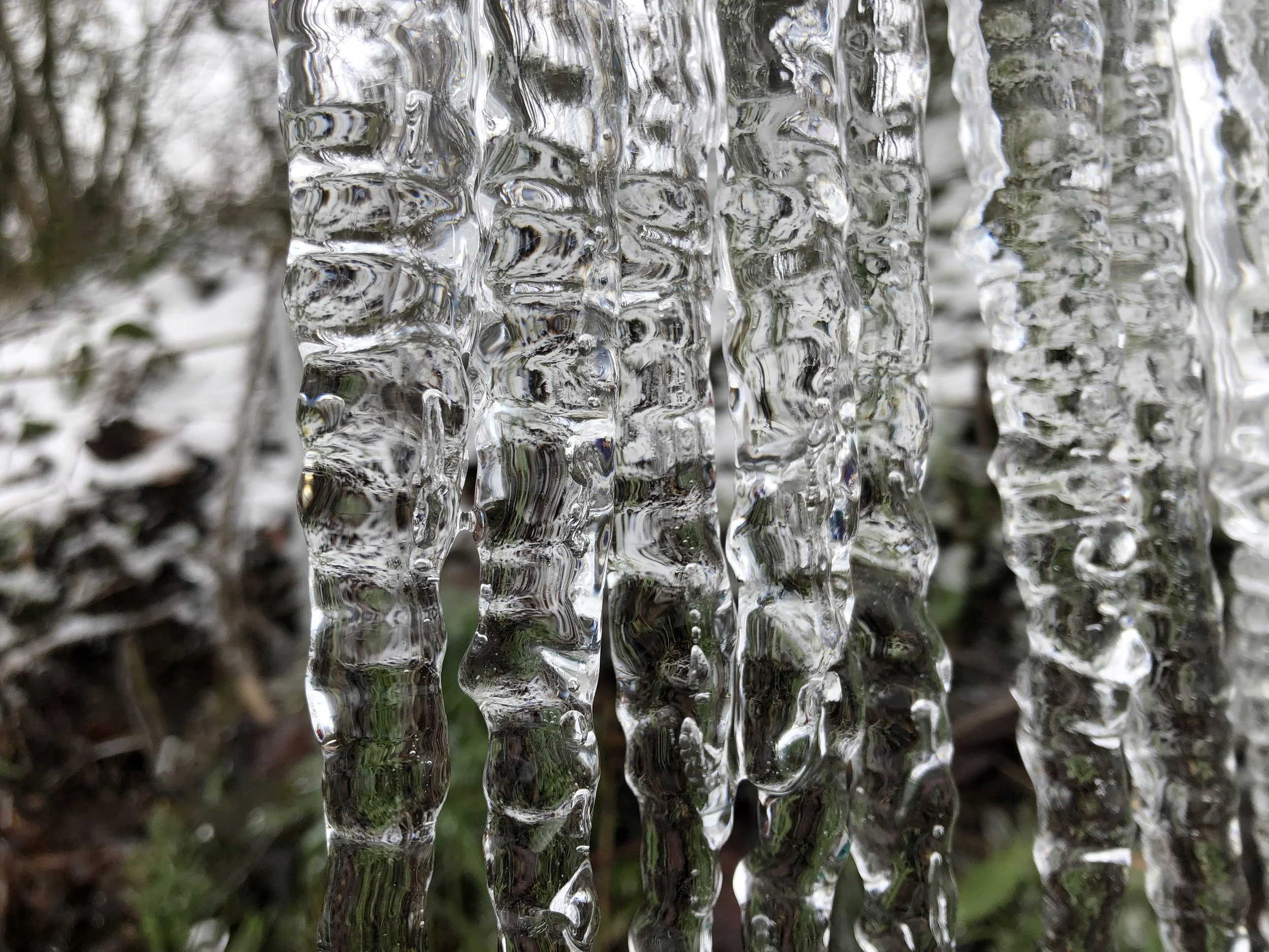 " In jedem Anfang wohnt ein Zauber inne. Neubeginn in Stille."
