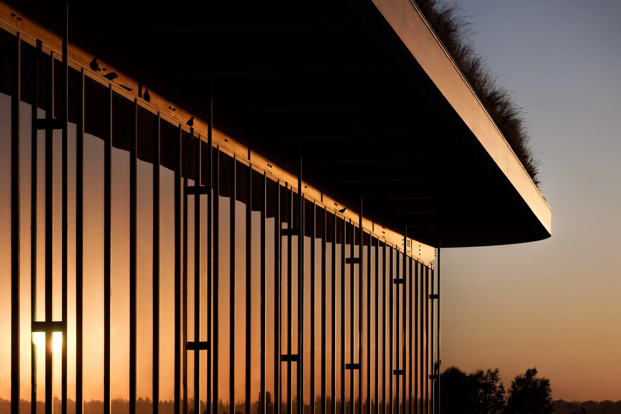 Bradfield First Building - Dec. 4, 2025 - 0008.jpg