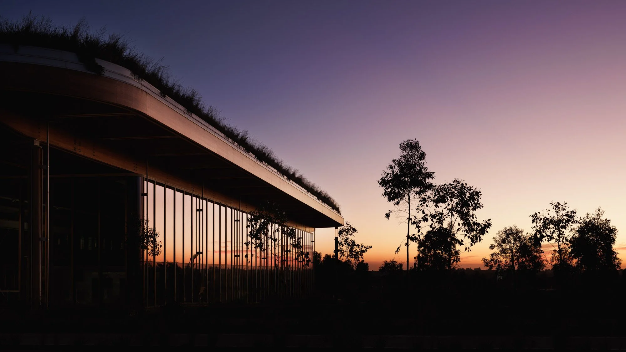 Bradfield First Building - Dec. 4, 2025 - 0001.jpg