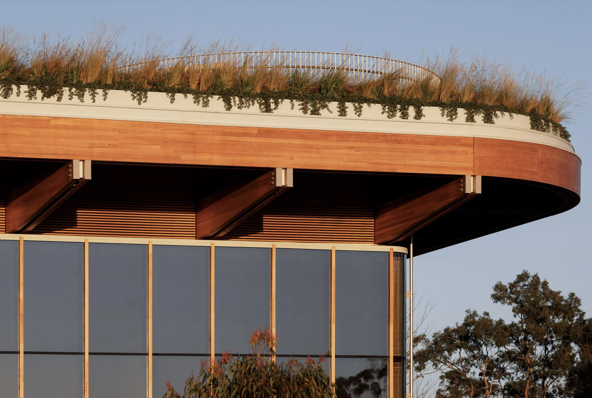 Bradfield First Building - Dec. 4, 2025 - 0015.jpg