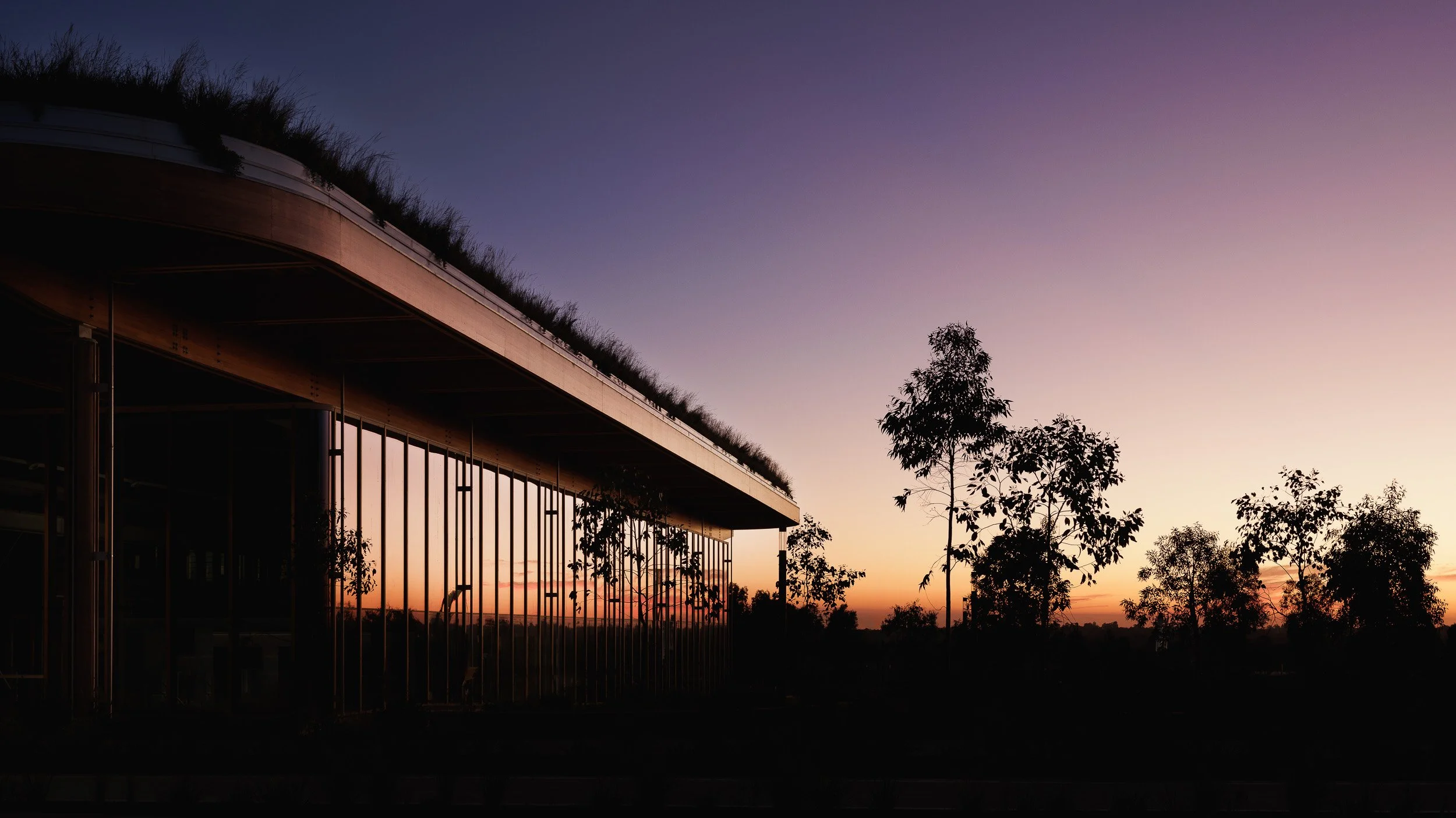 Silhouette of modern building with large glass windows and a flat roof, surrounded by trees at sunset with a colorful sky in the background.