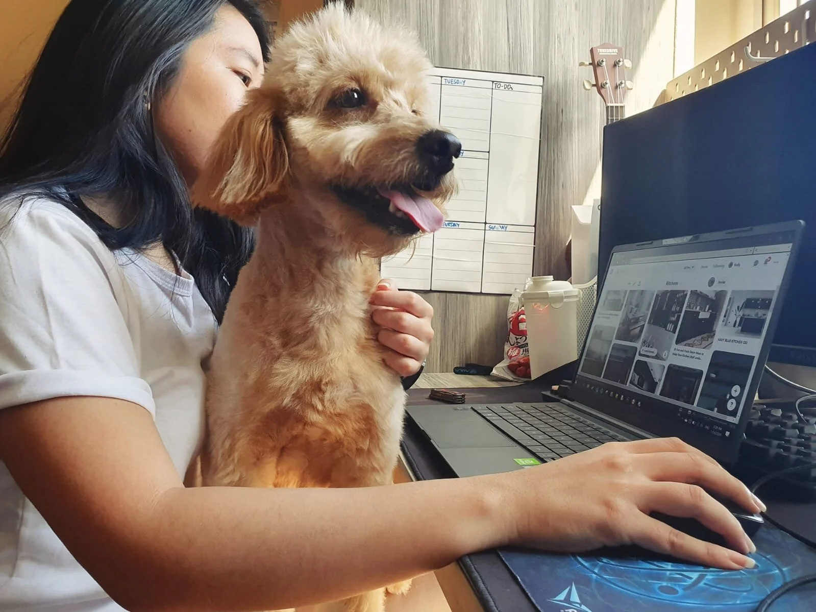 WhatsApp Image 2020-01-24 at 3.40.46 PM.jpeg