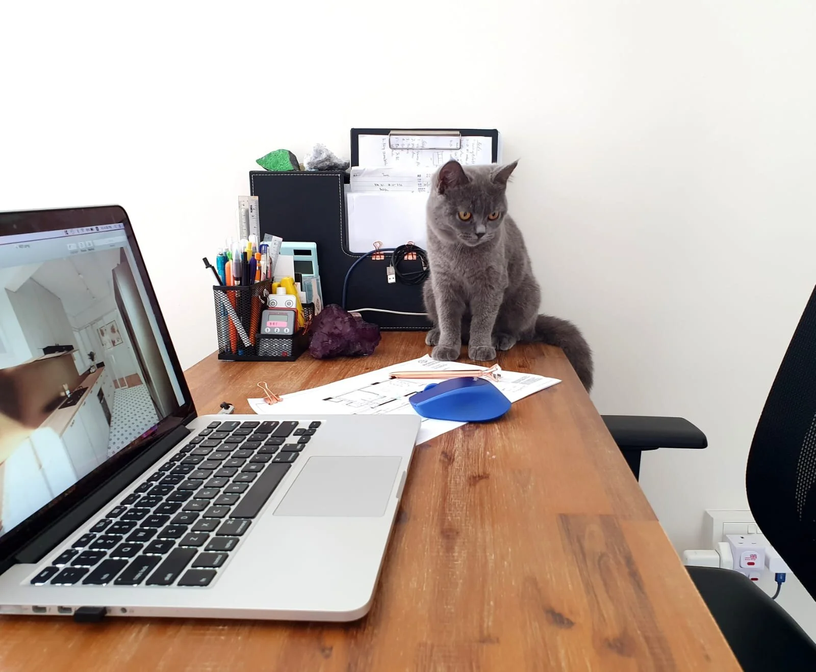 WhatsApp Image 2020-01-24 at 5.11.39 PM.jpeg