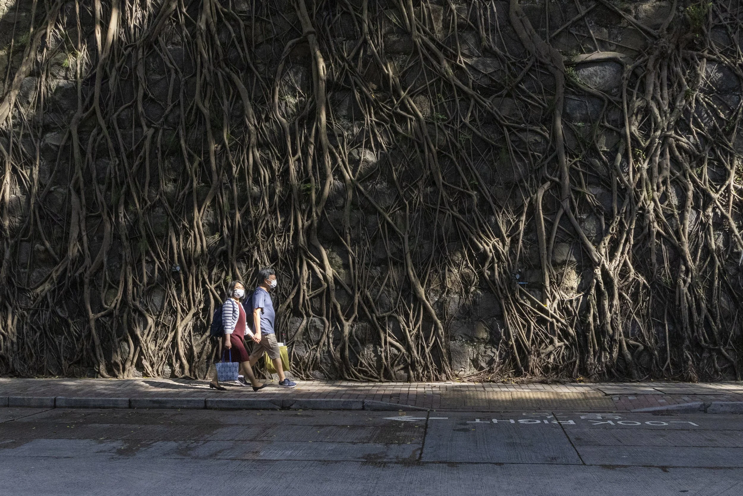 策展士美菲路<br>「社區尋寶」<br>月曆攝影比賽<br>成績公布