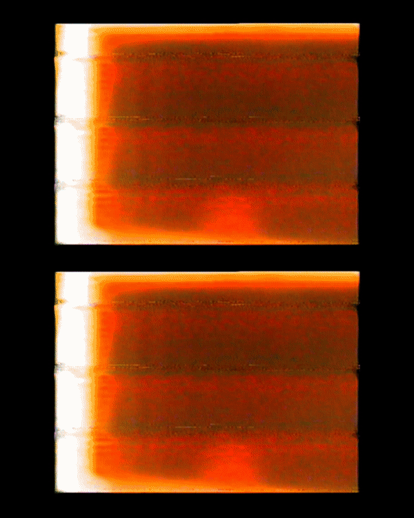 dowdgif2.gif