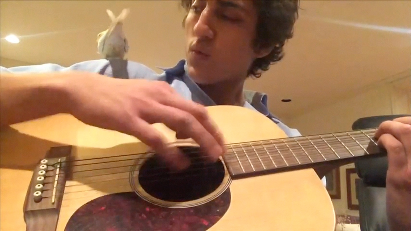 Duets with twenty-year-old Sunrise the cockatiel. 